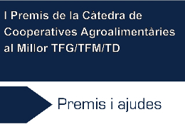 Image de la noticia